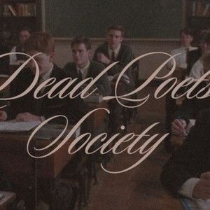 Meet your Posher, Rosalie